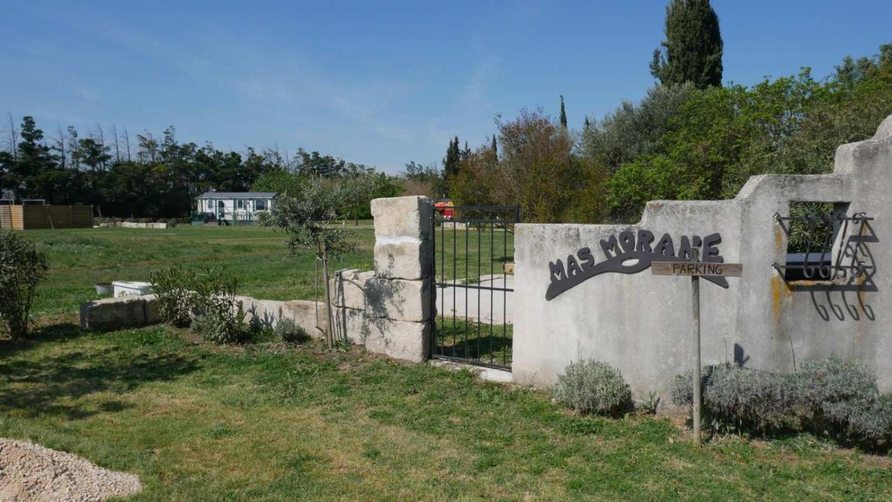 Mas Maurane - Les Lavandes Aux Portes D'Arles Apartman Tarascon Kültér fotó