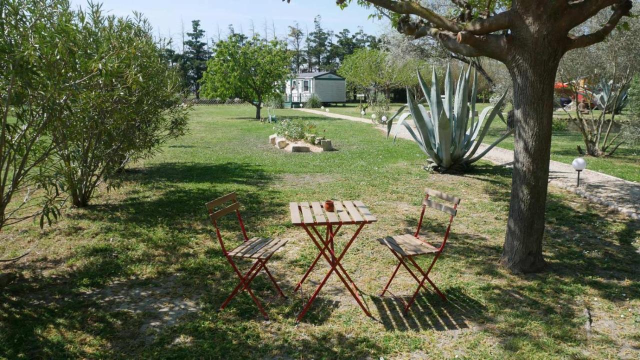 Mas Maurane - Les Lavandes Aux Portes D'Arles Apartman Tarascon Kültér fotó
