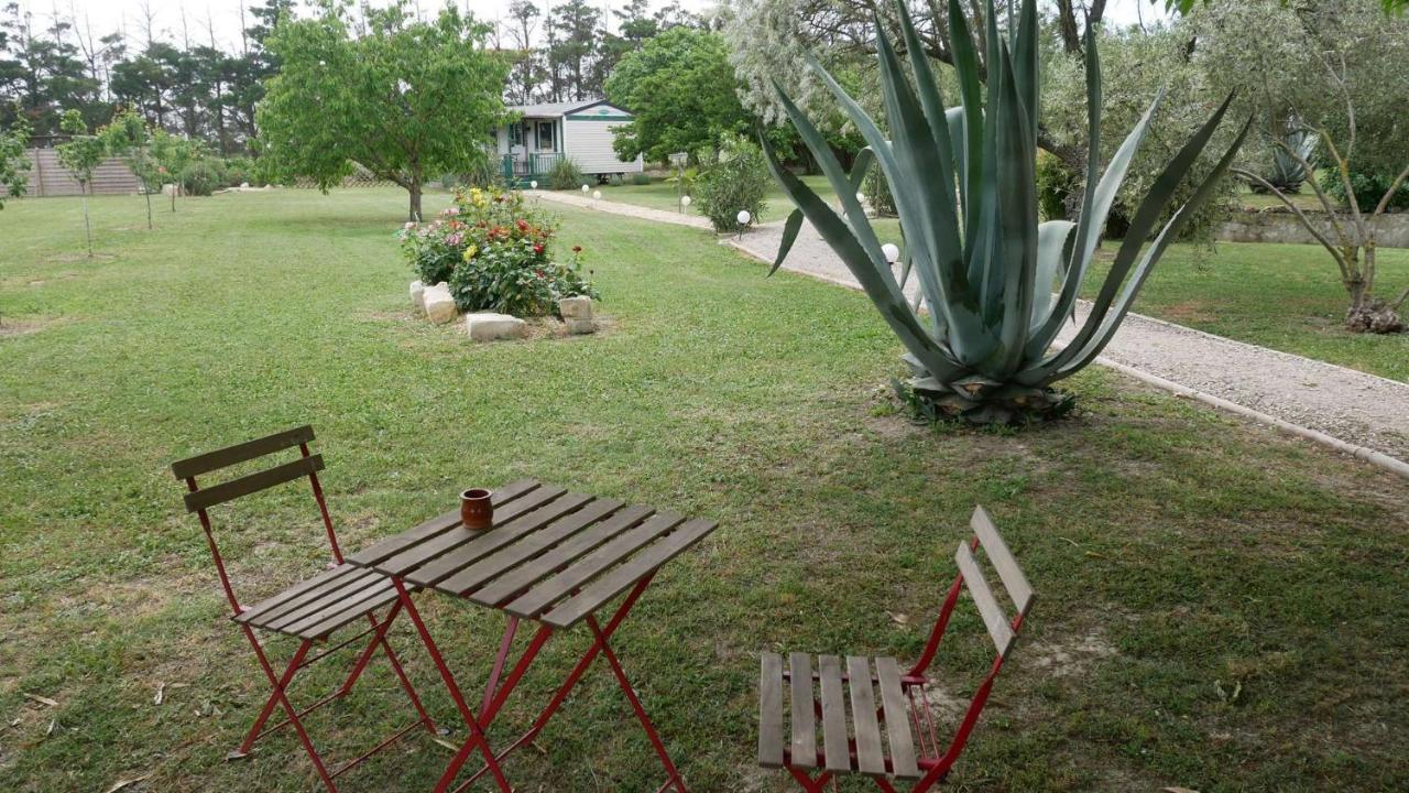 Mas Maurane - Les Lavandes Aux Portes D'Arles Apartman Tarascon Kültér fotó